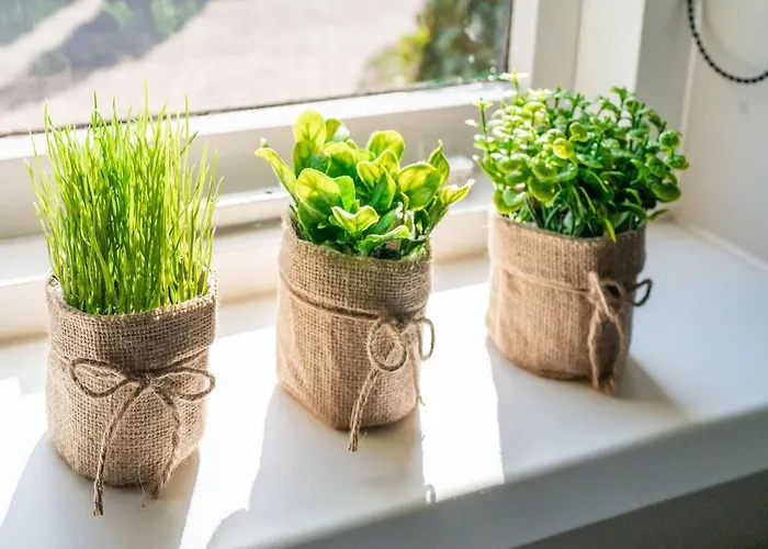 Semesterbostad In With Garden *